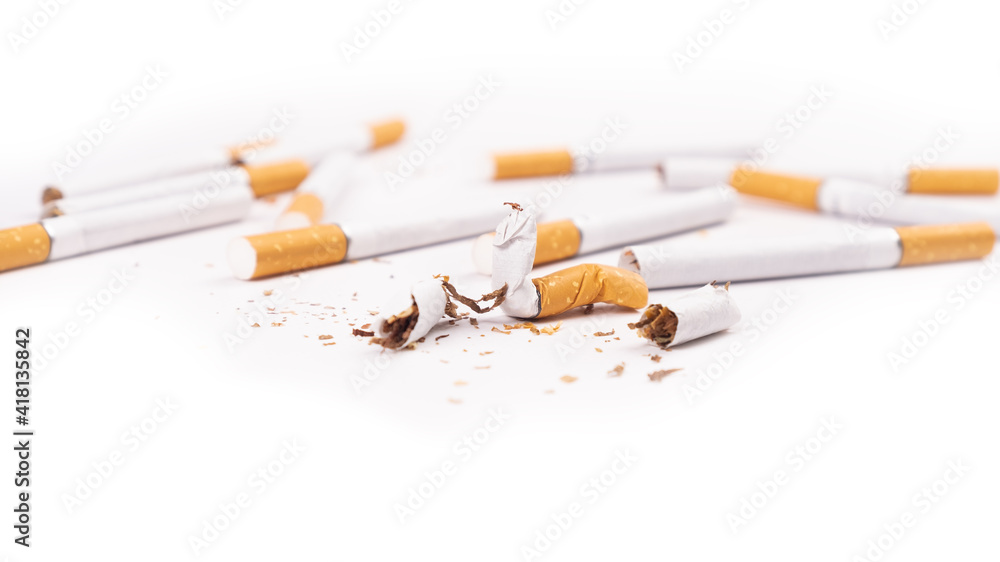 broken cigarettes on white background,harm of smoking broken cigarettes on white background,harm of smoking