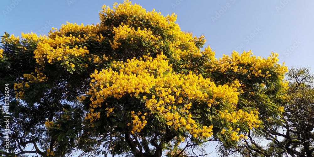 Fototapeta premium Colonia del Sacramento, Colonia, Uruguay.