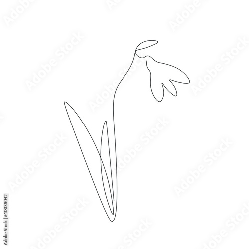 Spring snowdrop flower, vector illustration