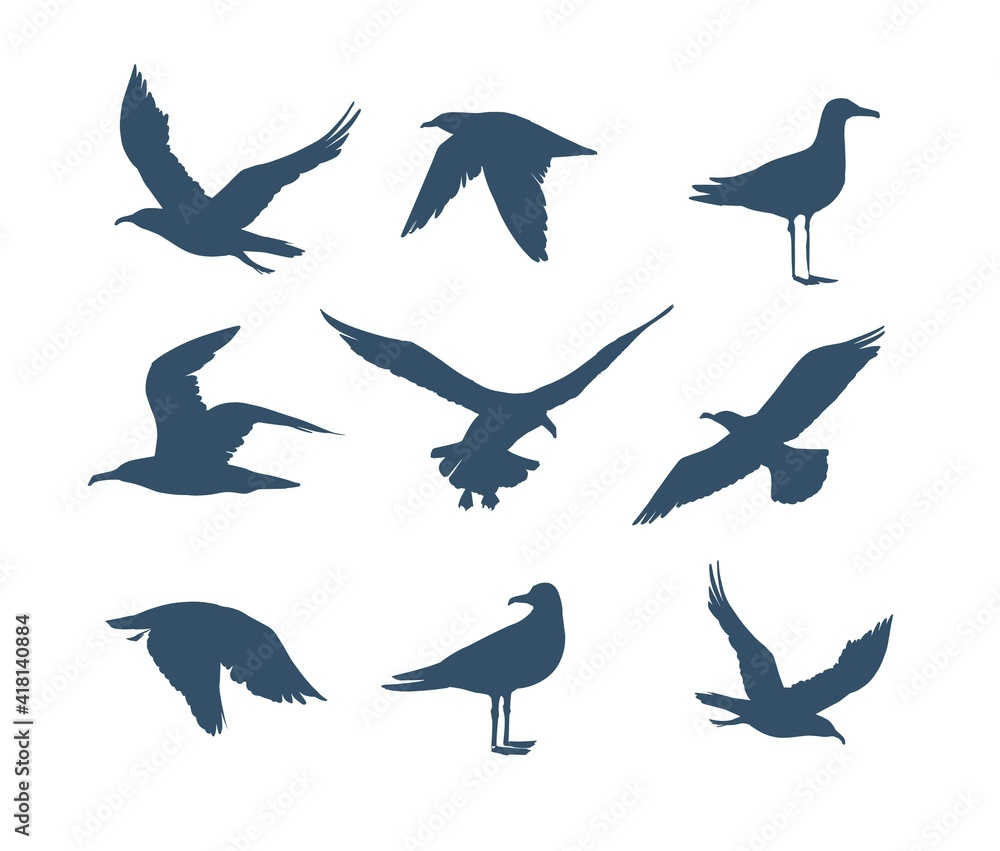Fototapeta premium Seagulls silhouette . Hand drawn illustration converted to vector.