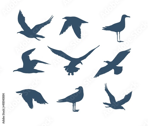 Seagulls silhouette . Hand drawn illustration converted to vector. © aksol