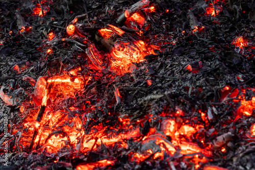 twigs and leaves burned in red or yellow bonfire blaze and some transform to ashes and black charcoal