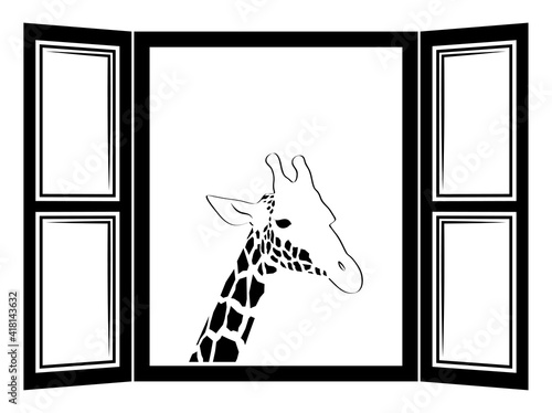 giraffe outside the window