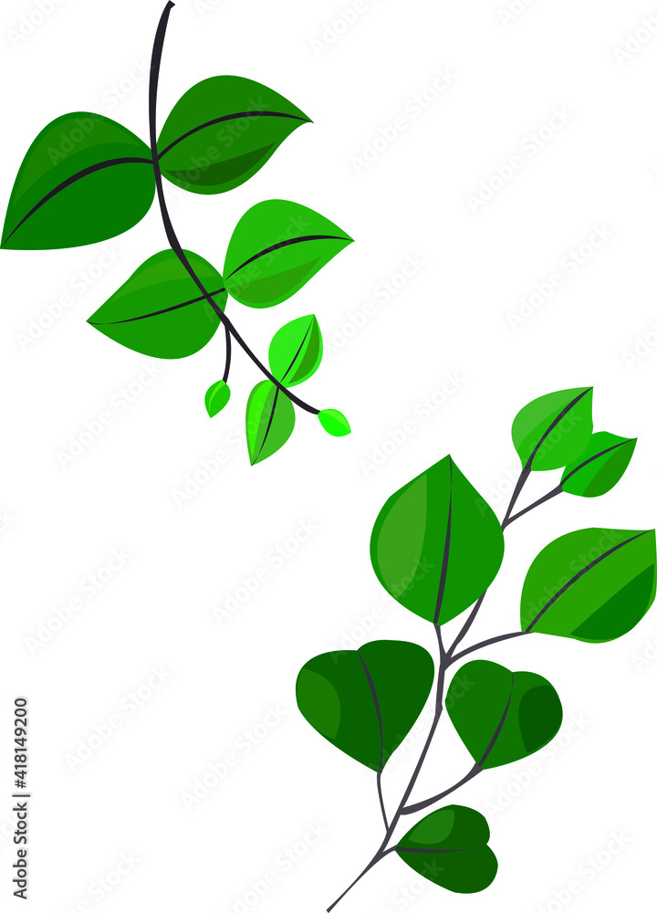 Vector hand painted nature greenery graphic plants set with two green eucalyptus leaves on branch composition isolated on the white background for design elements Vector hand painted nature greenery graphic plants set with two green eucalyptus leaves on branch composition isolated on the white background for design elements