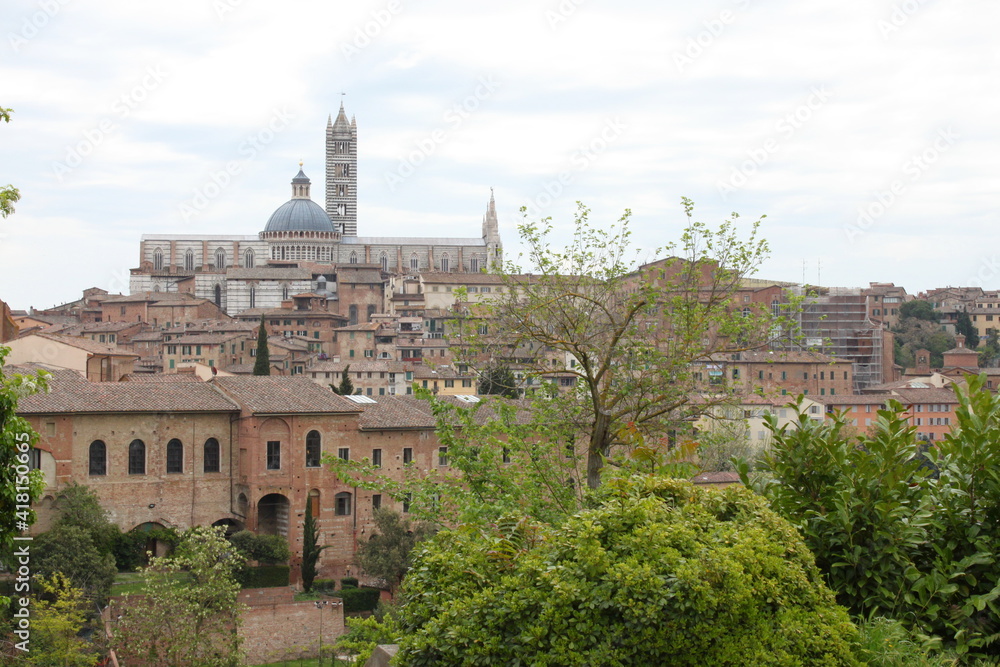 panorama of the city of Siena. Italy
