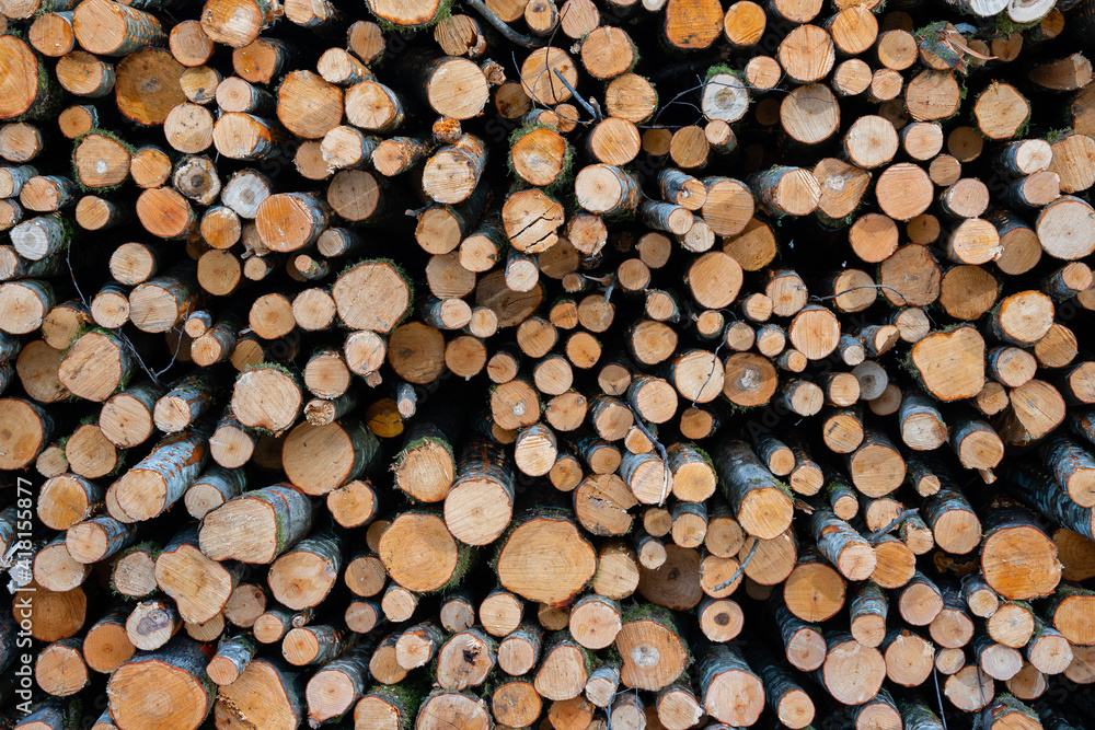 trees are cut into pieces and stacked in a large pile where their ends can be seen trees are cut into pieces and stacked in a large pile where their ends can be seen