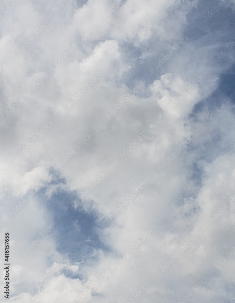 Fototapeta premium The Clouds in the Sky