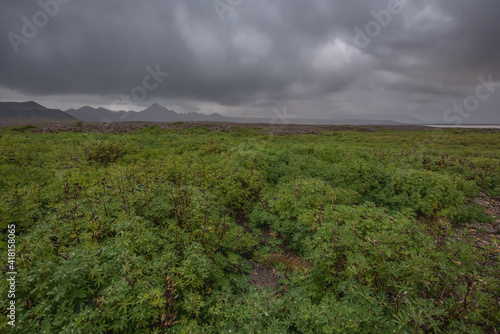 clouds over the field
