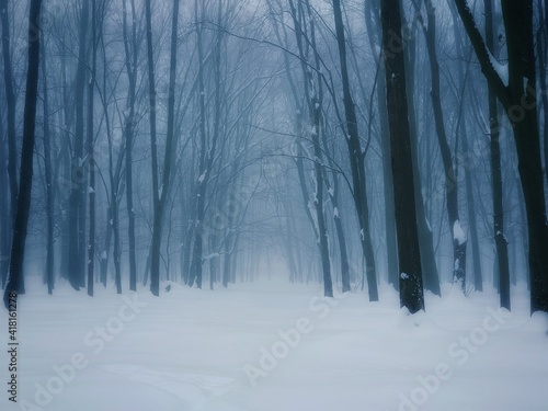 Fog in the winter forest. Atmospheric snow-covered forest in the morning mist. 