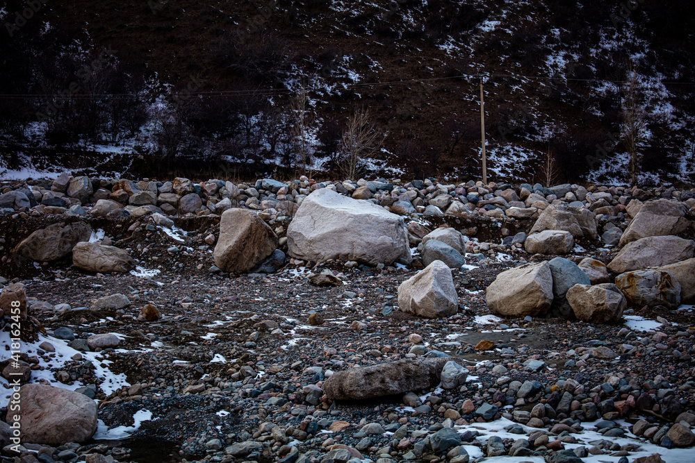 Obraz premium river in the woods