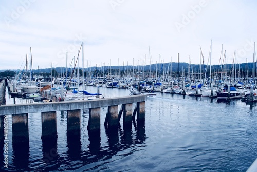 Monterey, California - 2017: Many sailboats in the Monterey Marina, Monterey Docks, harbor, and municipal wharf. 