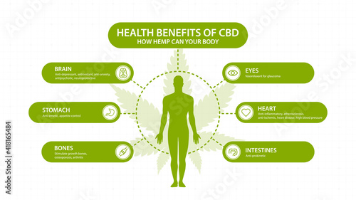 Hemp CBD benefits for your body, white poster with infographic and silhouette of human body. Health benefits of Cannabidiol CBD from cannabis, hemp, marijuana, effect on body