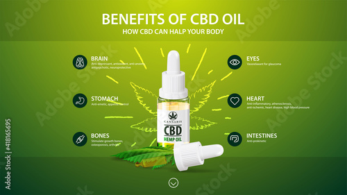 Green template with white bottle of Medical cbd oil, green template with infographic  of health benefits of CBD from cannabis, hemp, marijuana