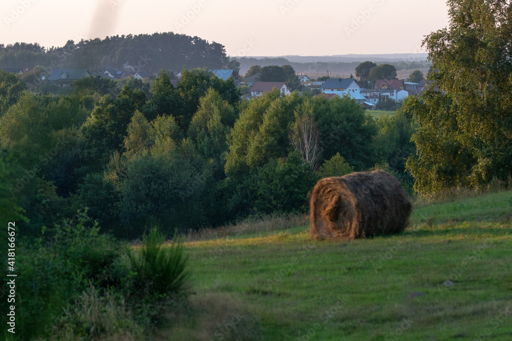 Fototapeta premium pejzaż wiejski