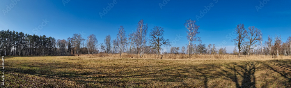 Panorama z polaną pod lasem