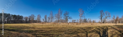 Panorama z polan   pod lasem