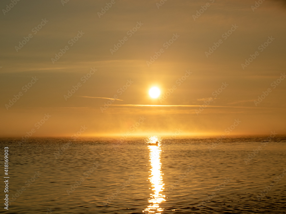Sonnenaufgang über dem Meer mit Nebel und Möwe im Wasser