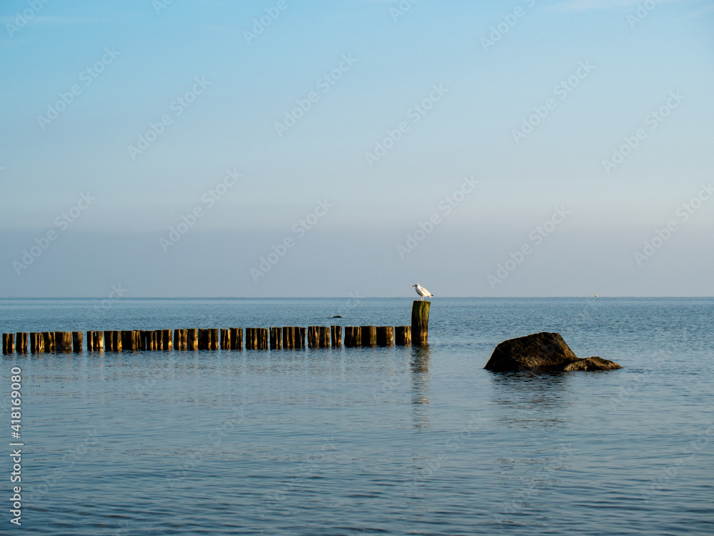 Ostsee, Hohwacht, Strand, Meer mit Möwe