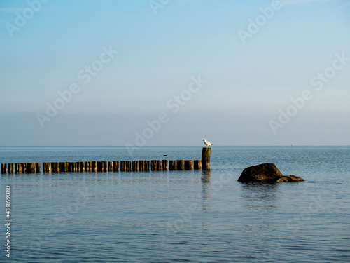 Ostsee, Hohwacht, Strand, Meer mit Möwe