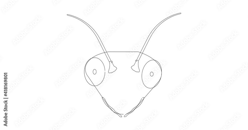 Linear animation with the head of a mantis insect. The lines are drawn and turned into a vector illustration in the form of a mantis head. Linear animation with the head of a mantis insect. The lines are drawn and turned into a vector illustration in the form of a mantis head.