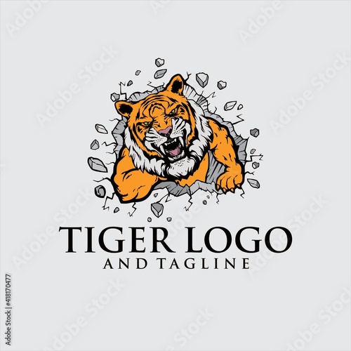 A Tiger angry animal sports mascot holding a soccer football ball and breaking through the background with its claws.