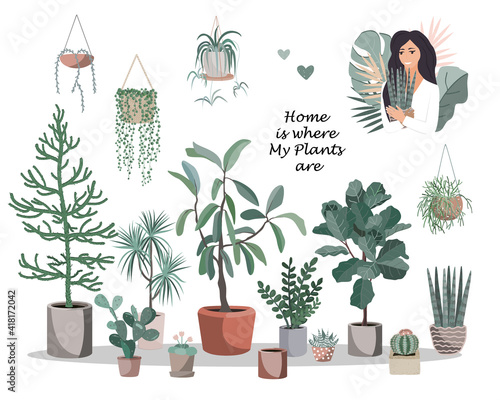 Home is where my plants are poster. Cute house plant pots and baskets, cactuses and succulents, and pretty girl with potted flower. Flat style vector illustration