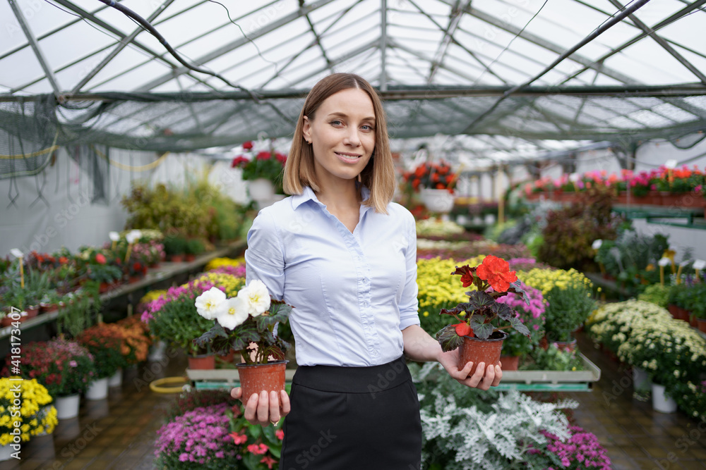 Smiling business owner in her nursery standing holding in hands two pots with red and white flowers in the greenhouse