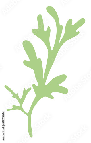 A sprig of Icelandic moss green on a white background