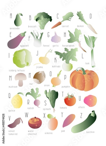 ABC English colorful food alphabet. Fruits, vegetables, nuts. Vegetarian, vegan, healthy food. Hand drawn. Learn the English alphabet. Vocabulary. Isolated on white. Vector illustration.