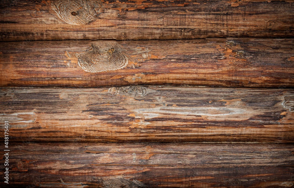 Fototapeta premium natural background, log wall, natural wood