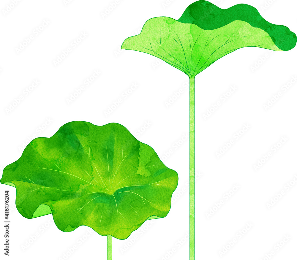 蓮 イラスト Stock Illustration Adobe Stock 蓮 イラスト Stock Illustration Adobe Stock