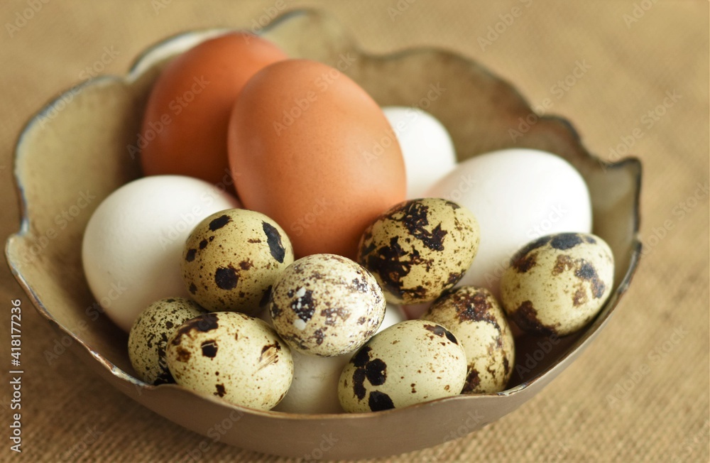 chicken and sawn eggs in a bowl chicken and sawn eggs in a bowl