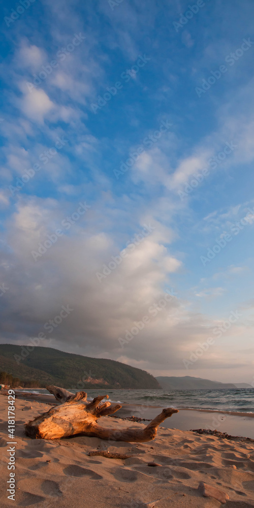 Vertical landscape with blue skies and golden sand Vertical landscape with blue skies and golden sand