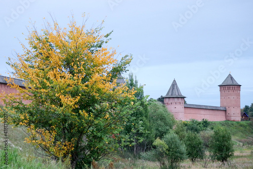 Summer view from the valley of Kamenka river to Saviour Monastery of St. Euthymius in Suzdal, Russia