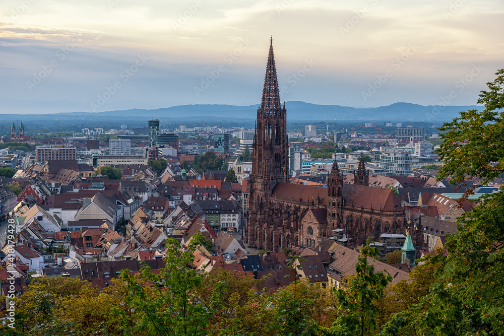View over Freiburg im Breisgau