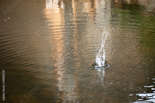 splash in water