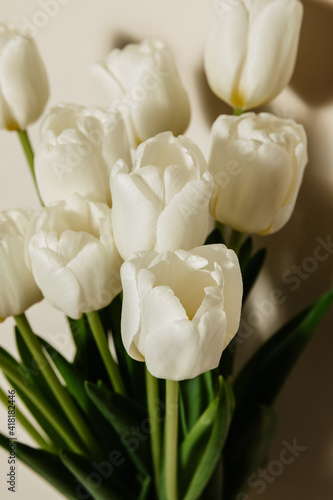 Bouquet of white fresh tulips, top view, free space, 8 march women's holiday