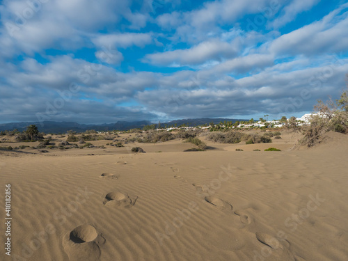 View of the Natural Reserve of Dunes of Maspalomas with white apartments and hotels. Golden sand dunes  blue sky. Gran Canaria  Canary Islands  Spain
