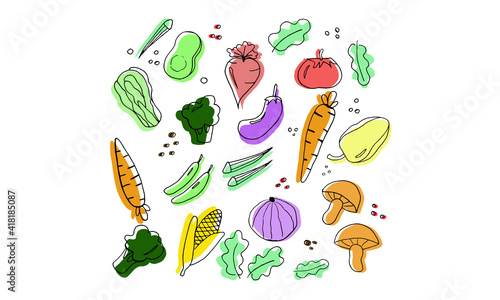 Vector doodle illustration of a set of vegetables, carrots, Chinese cabbage, beets, eggplant, corn, mushrooms, pepper, tomato, avacado, broccoli, onion, celery