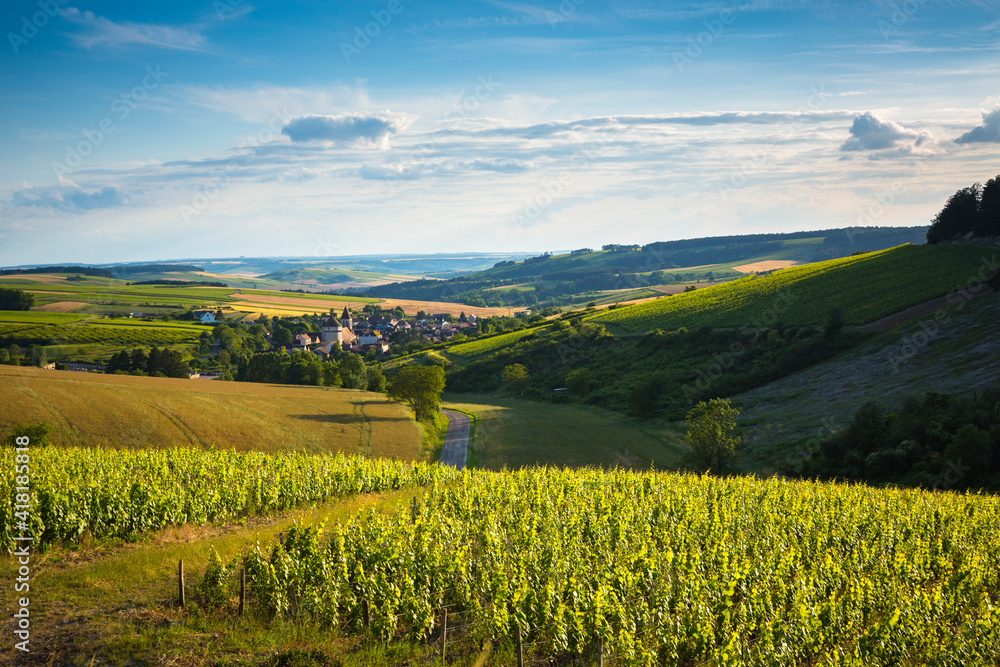 Village viticole de Chitry, Yonne, Bourgogne