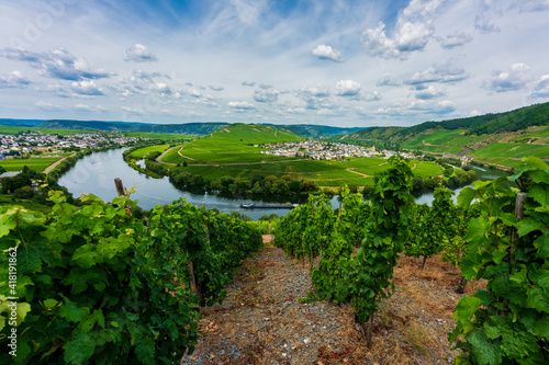 Panoramic view of the Moselle vineyards, Germany.