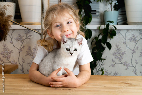 a little blonde girl sits at the table and gently hugs a white Scottish kitten and smiles