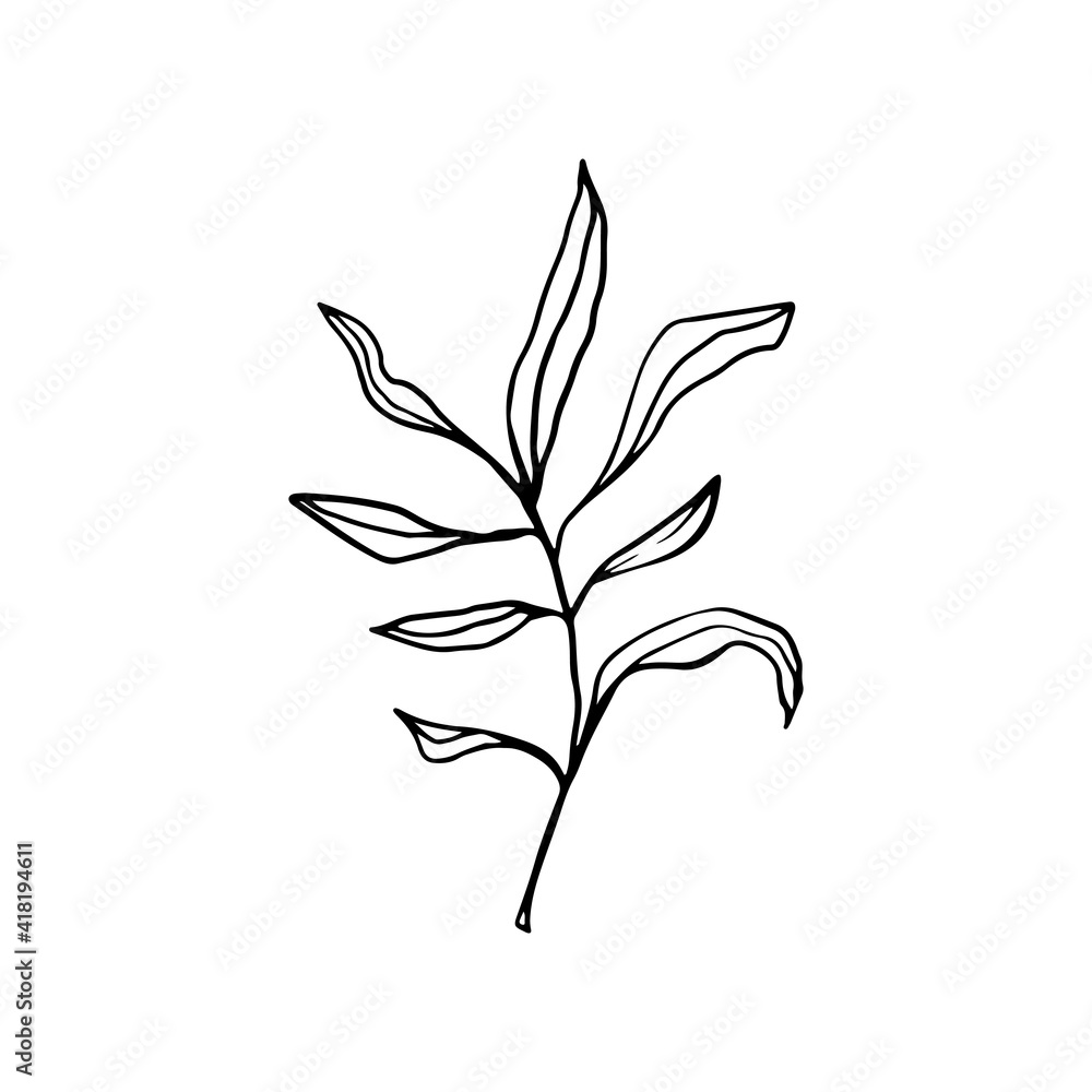 Vector branches and leaves. Hand drawn floral elements. Vintage botanical illustrations