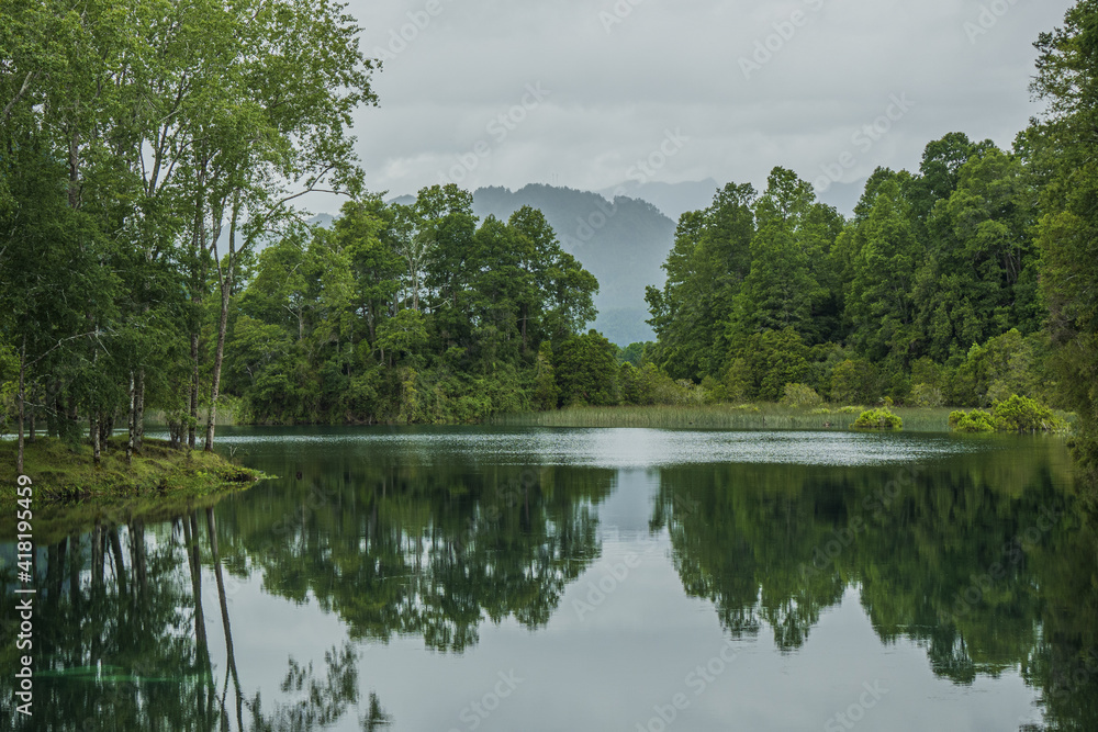 Obraz premium lake and forest