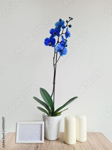 A blue orchid stands on a table in an interior with a frame and candles. Composition of home comfort photo