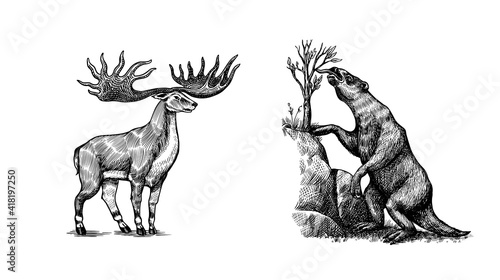 Irish elk or Giant deer and Ground sloth or Megatheriidae and Great Horn. Prehistoric mammals. Extinct animal. Vintage retro vector illustration. Doodle style. Hand drawn engraved sketch