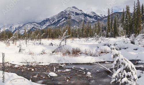 Winter Wetland