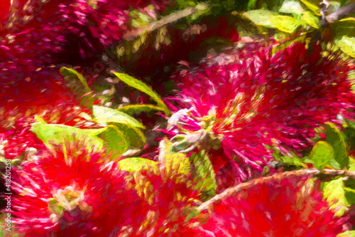Digital painting of vibrant red flowers