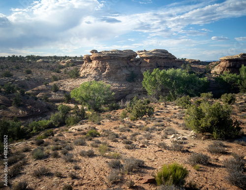 Incredible Pothole Point Trails in Canyonlands National Park in Utah