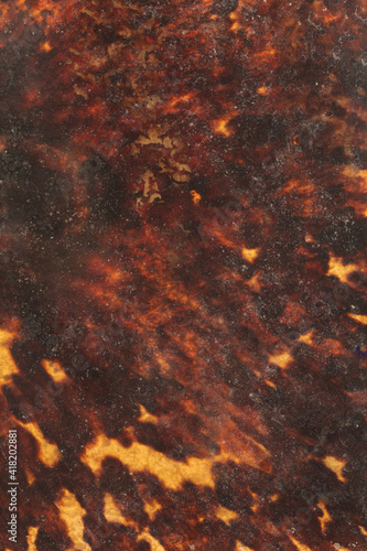 Turtle shell texture